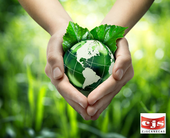 La reducción del consumo y la utilización de residuos para crear energía son algunas de las iniciativas mundiales. 
